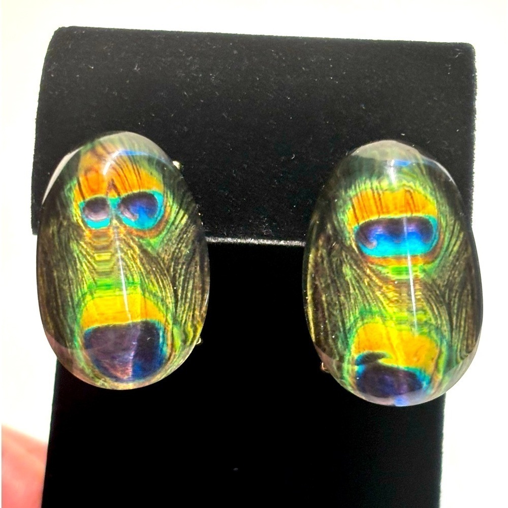 Butterfly wing/ peacock look glass earrings pierced ear